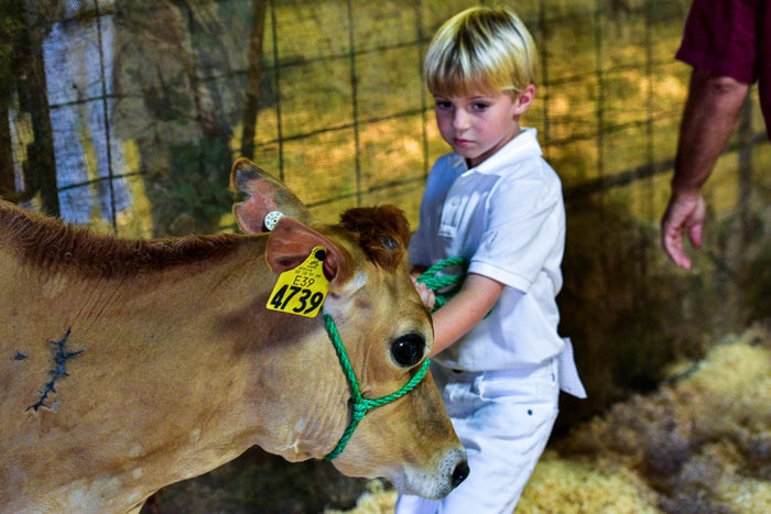 Orangeburg County Fair Dairy Show